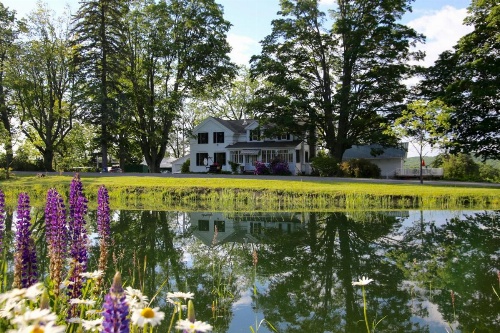 Enfield Manor Bed&Breakfast and Vacation Rental image 34